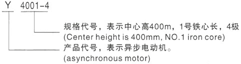 西安泰富西玛Y系列(H355-1000)高压Y5005-8/500KW三相异步电机型号说明